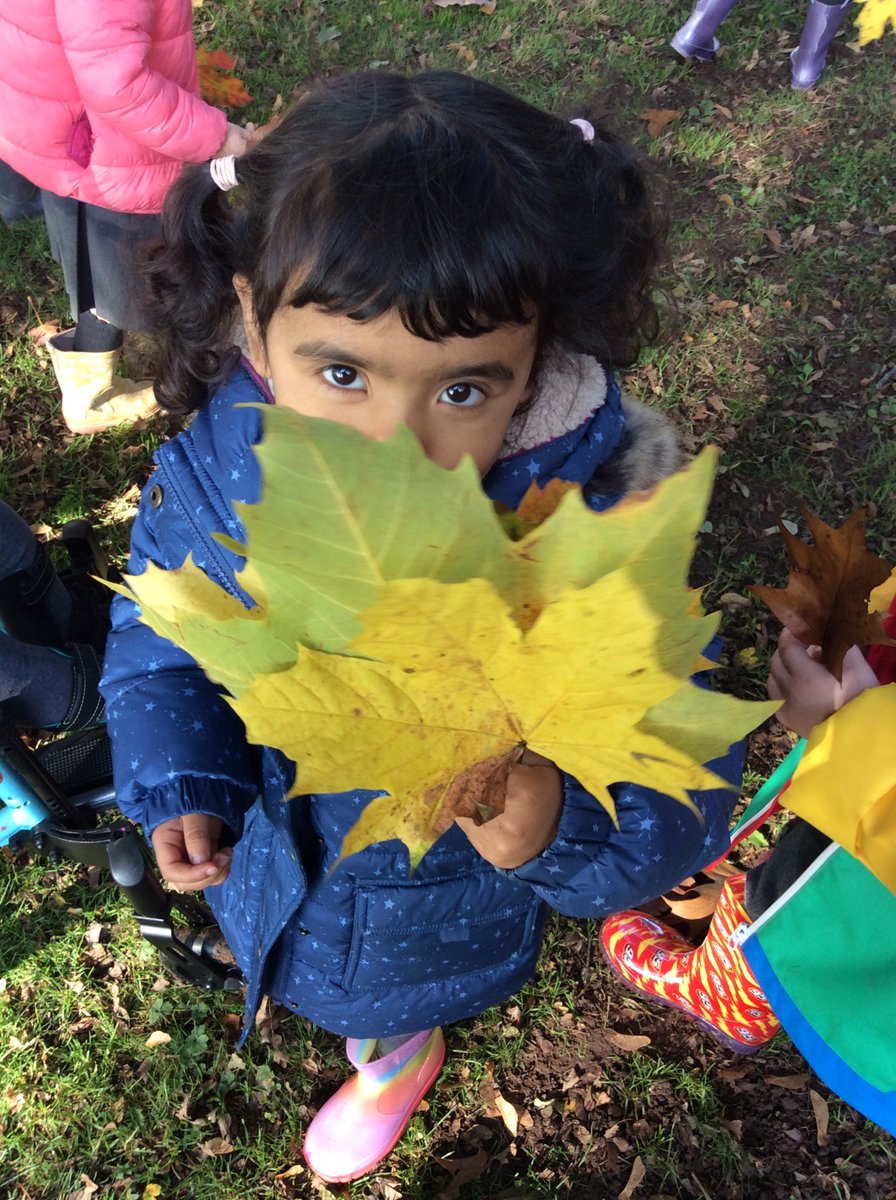 gfprimarycov's tweet image. Reception loved their Autumn welly walk this week 🍁🍂 #GFReception #AutumnWellyWalk