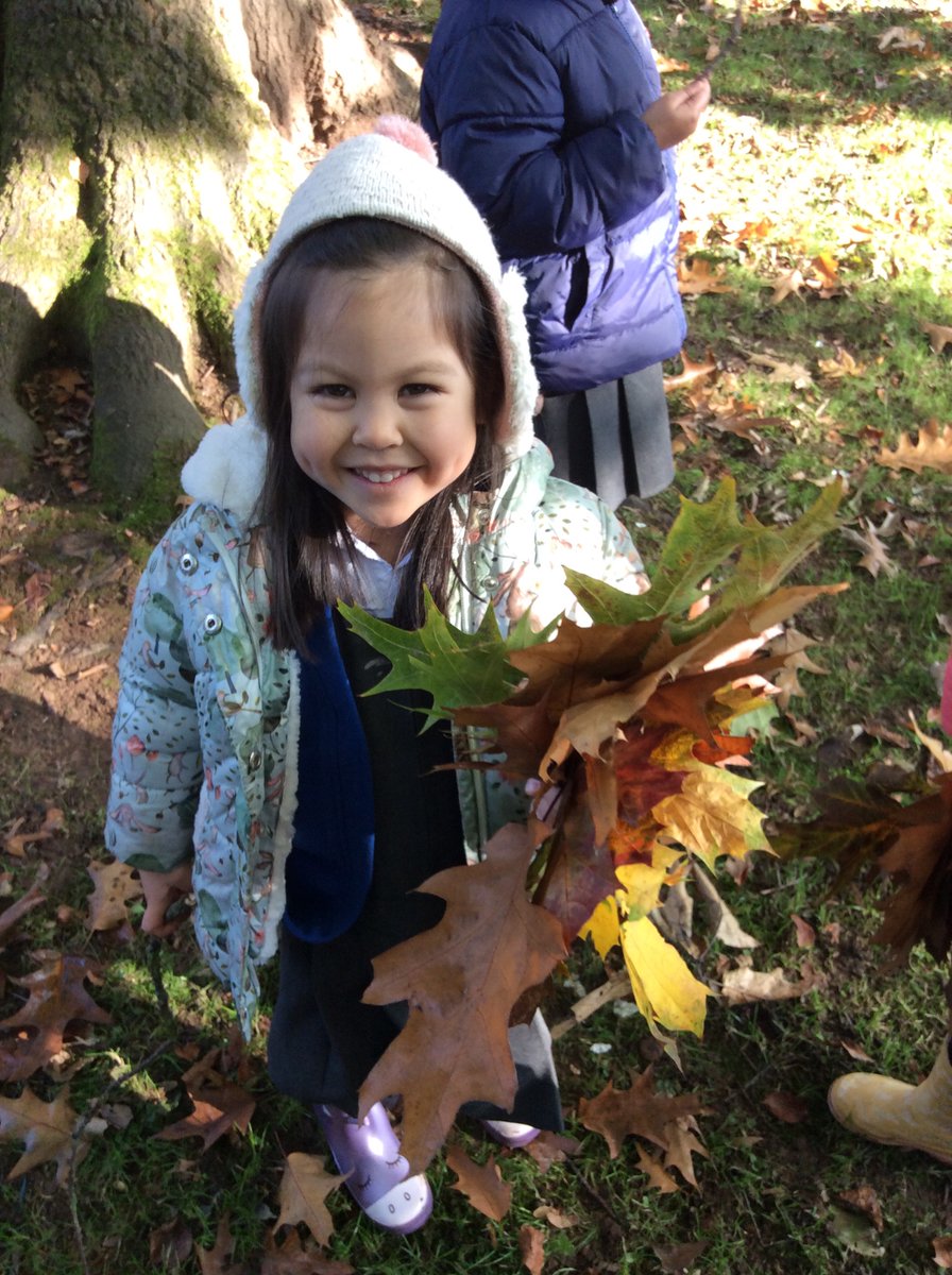 gfprimarycov's tweet image. Reception loved their Autumn welly walk this week 🍁🍂 #GFReception #AutumnWellyWalk
