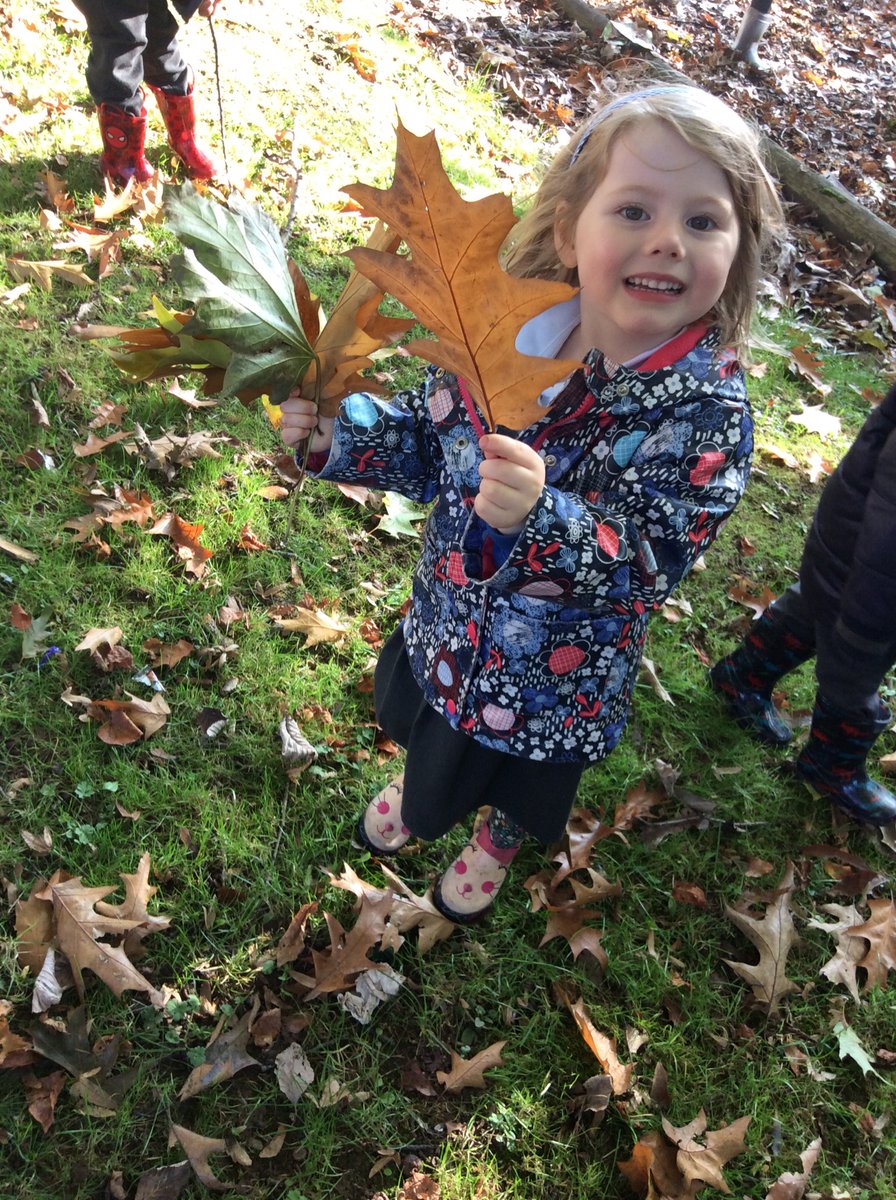 gfprimarycov's tweet image. Reception loved their Autumn welly walk this week 🍁🍂 #GFReception #AutumnWellyWalk