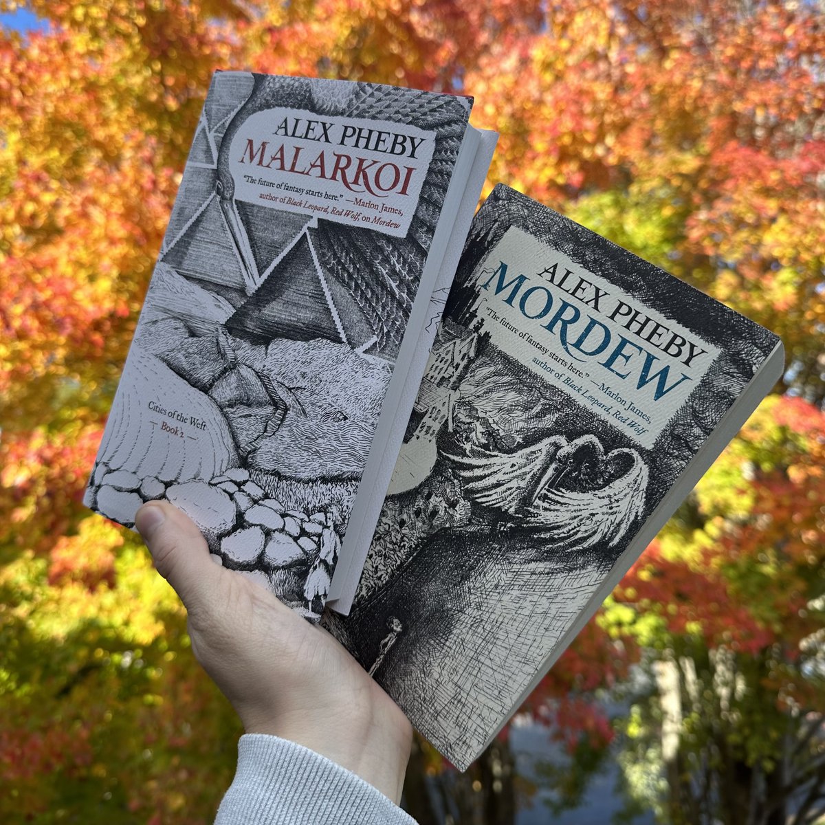 torbooks's tweet photo. It's almost the weekend and to celebrate, we're giving YOU the chance to win #Mordew and #Malarkoi by @alexpheby! Just follow us, then like and retweet this post for the chance to win the first two books of this haunting series. Best of luck, y'all! 🍂 

#CitiesOfTheWeftSweeps https://t.co/Gmwv8k3b7i