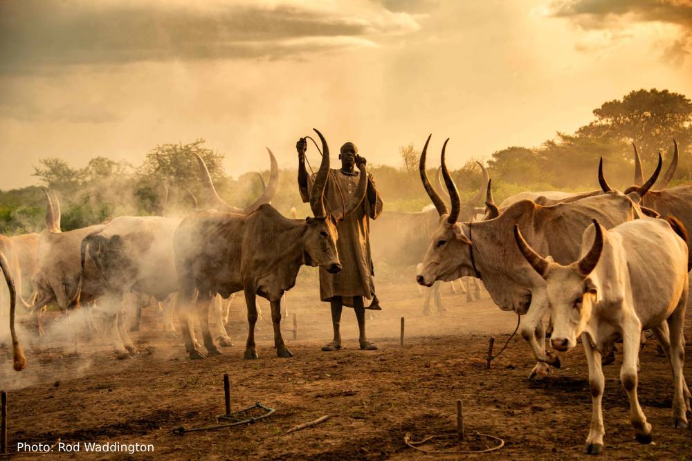 World Bank Water tweet media