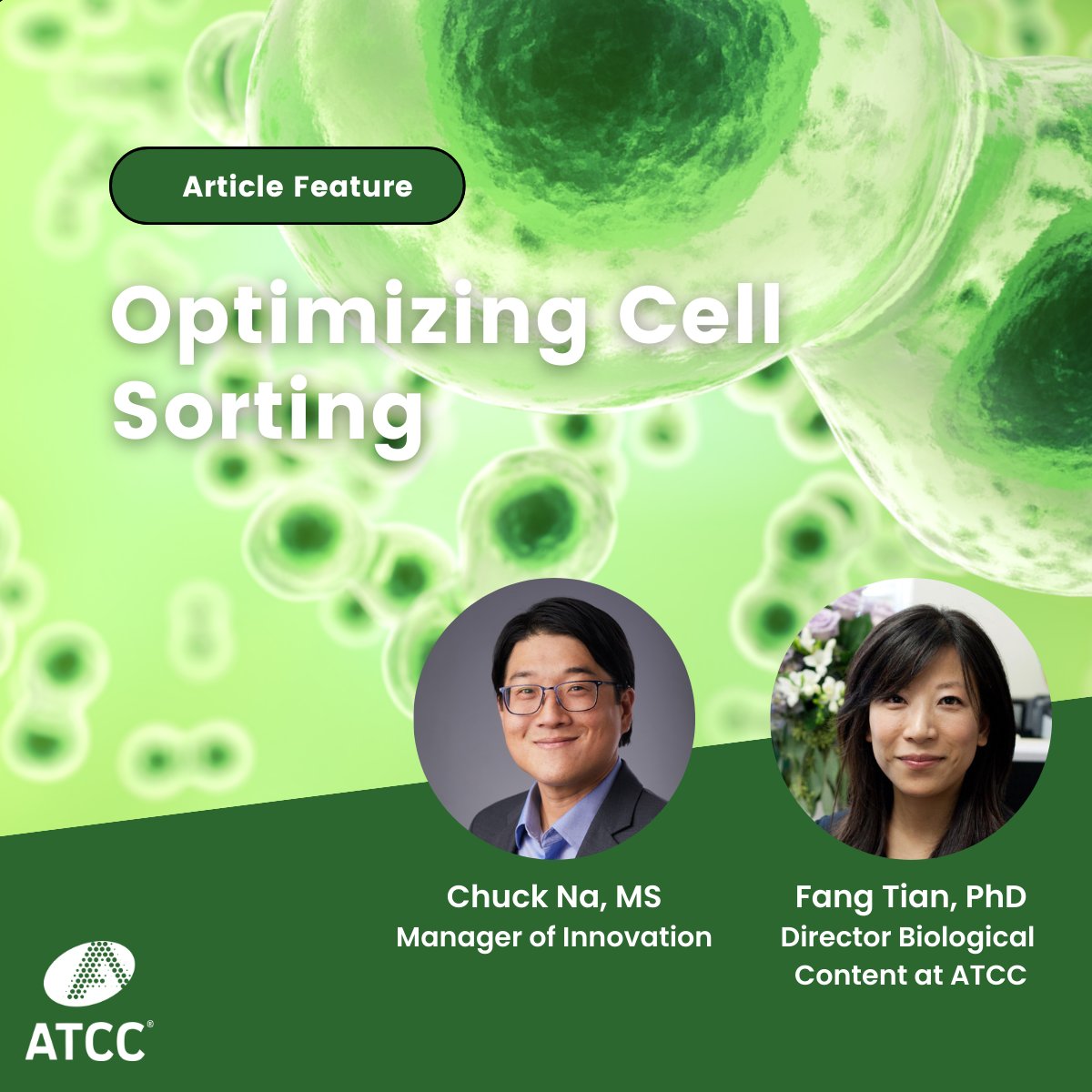 officialatcc's tweet image. Fang Tian, Director of Biological Content, & Chuck Na, Manager of Innovation, spoke with @Biocompare to discuss the way #CellSorting technologies are evolving to meet research’s changing needs. Read the full article below: ow.ly/s2bA50Q1toF #ATCCnews #biologicalcontent