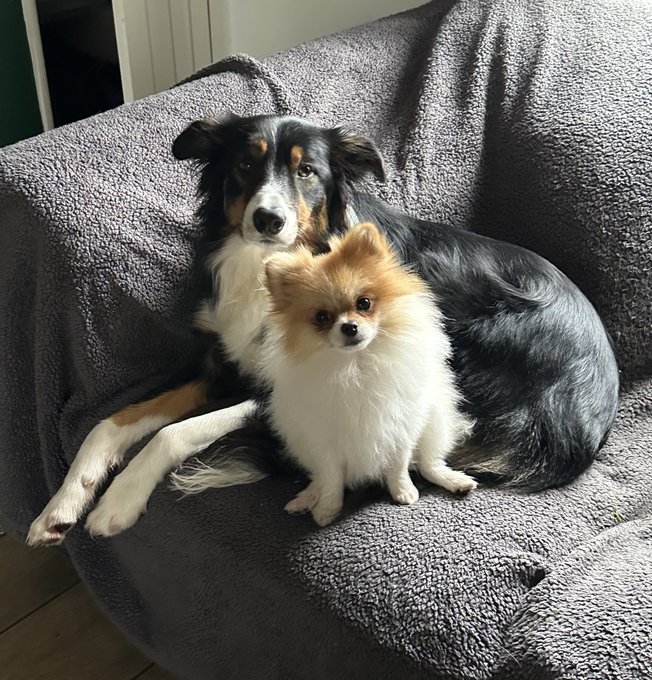 What do you mean, you only have a few hours to make a stage prop and sort out a performance for WCD 😅<a href="/tag/internationalwomansday"class="tags"><span>#internationalwomansday</span></a>