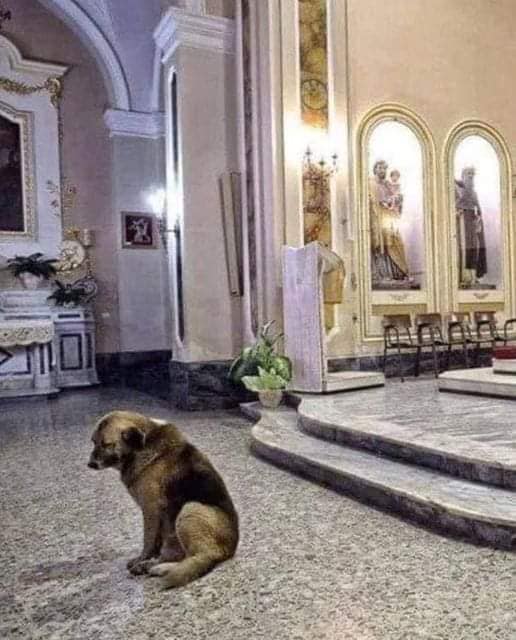 Nobody said HELLO to me yet... I have been waiting all day alone 😢 ❤️