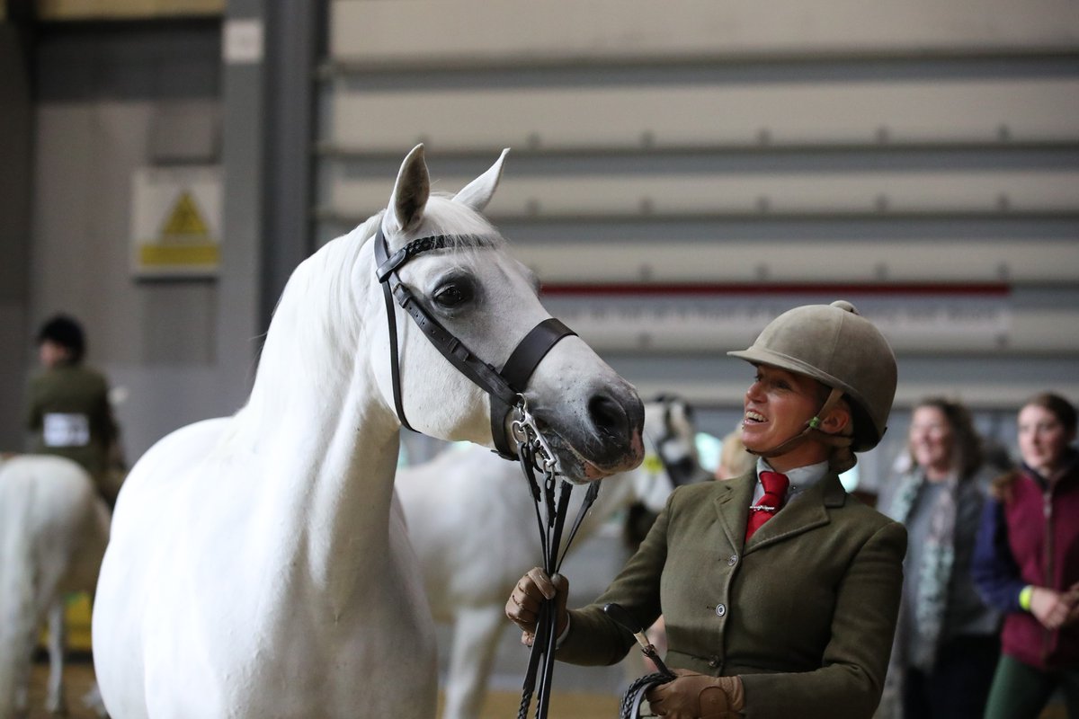 Horse of the Year Show tweet media