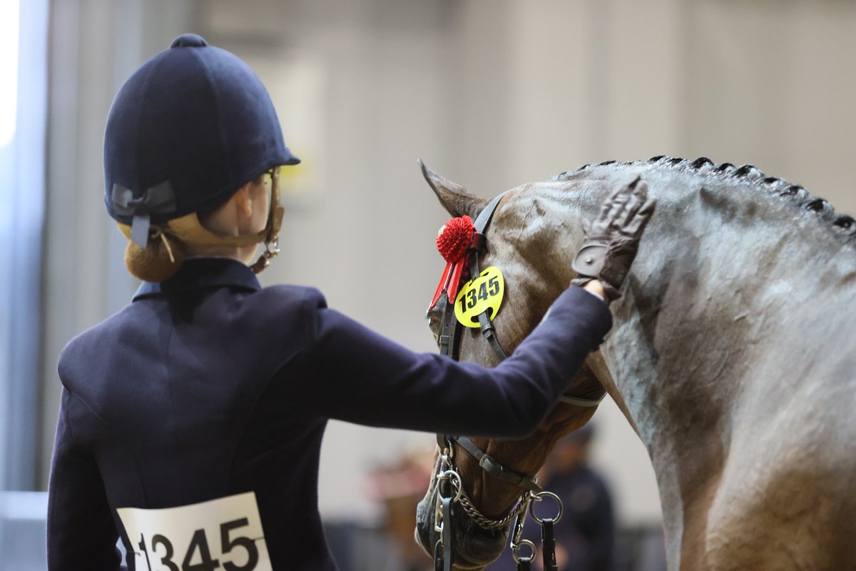 Horse of the Year Show tweet media