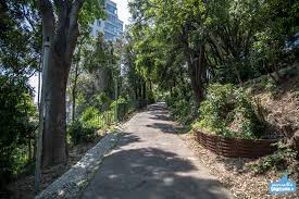 mairie6_8's tweet photo. #ParcsetJardins | Pendant les vacances, profitez des températures douces et retrouvez tous nos parcs 🌳 et jardins des 6e et 8e arrondissements🌲 ouverts tous les jours👍.
Pour un moment de repos ou des balades en famille 👨👩👧👦 !
✅https://t.co/qJktRdsbaO https://t.co/uOnM5Thsbi