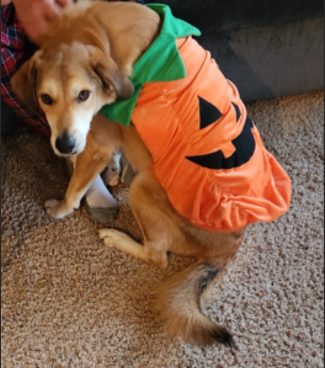 MSSVCC | South Central tweet media