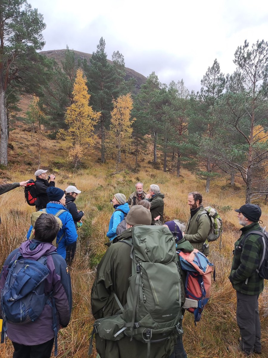 Native Woodland Discussion Group in Glen Arkaig.
#NWDG