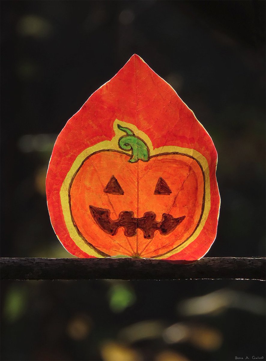 bettadazed's tweet photo. #Halloween #leaf #leafart #leafdrawing #jackolantern #pumpkin
marker on a redbud leaf https://t.co/tn5w99kMK7