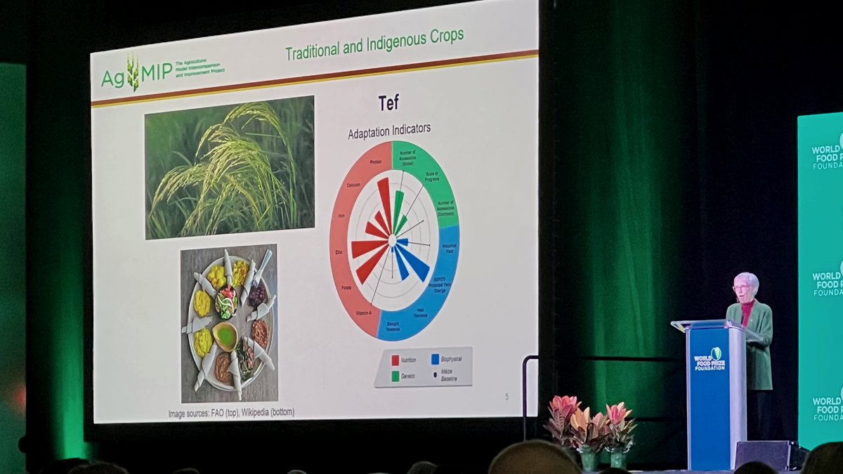 AgMIPnews's tweet photo. Dr. Cynthia Rosenzweig presented on #AgMIP's model development for traditional and indigneous crops as part of the Vision for Adapted Crops and Soils (VACS) initiative. #BorlaugDialogue #FoodPrize23 https://t.co/CwJfYTeW6T