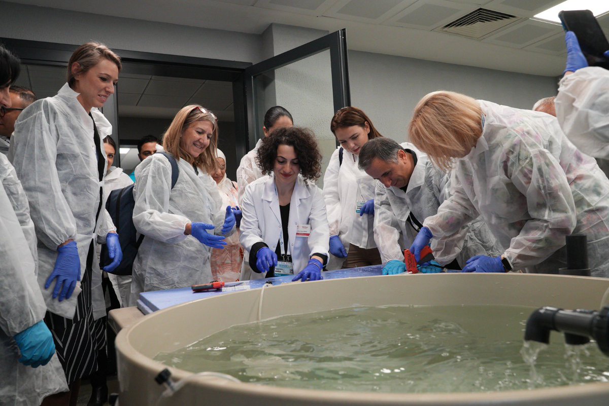 atifetuba_beken's tweet image. Within the scope of #SOFAS2023, after the #turbot #aquaculture🫧 &amp;amp; #restocking trainings, participants carried out fish 🐟 #feeding #tagging  and #releasing 🌊activities.