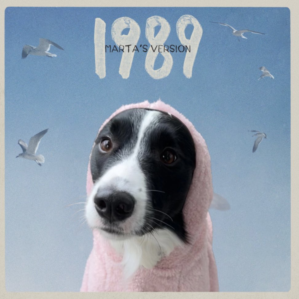 larafernandez97's tweet photo. @Banco_Patagonia #PatagoniaTieneEntradas Hoy salió 1989 y mi perra Swiftie les pide un poco de su 🩵 para que podamos ir a ver a Taylor!!!! https://t.co/nfquosiZfq