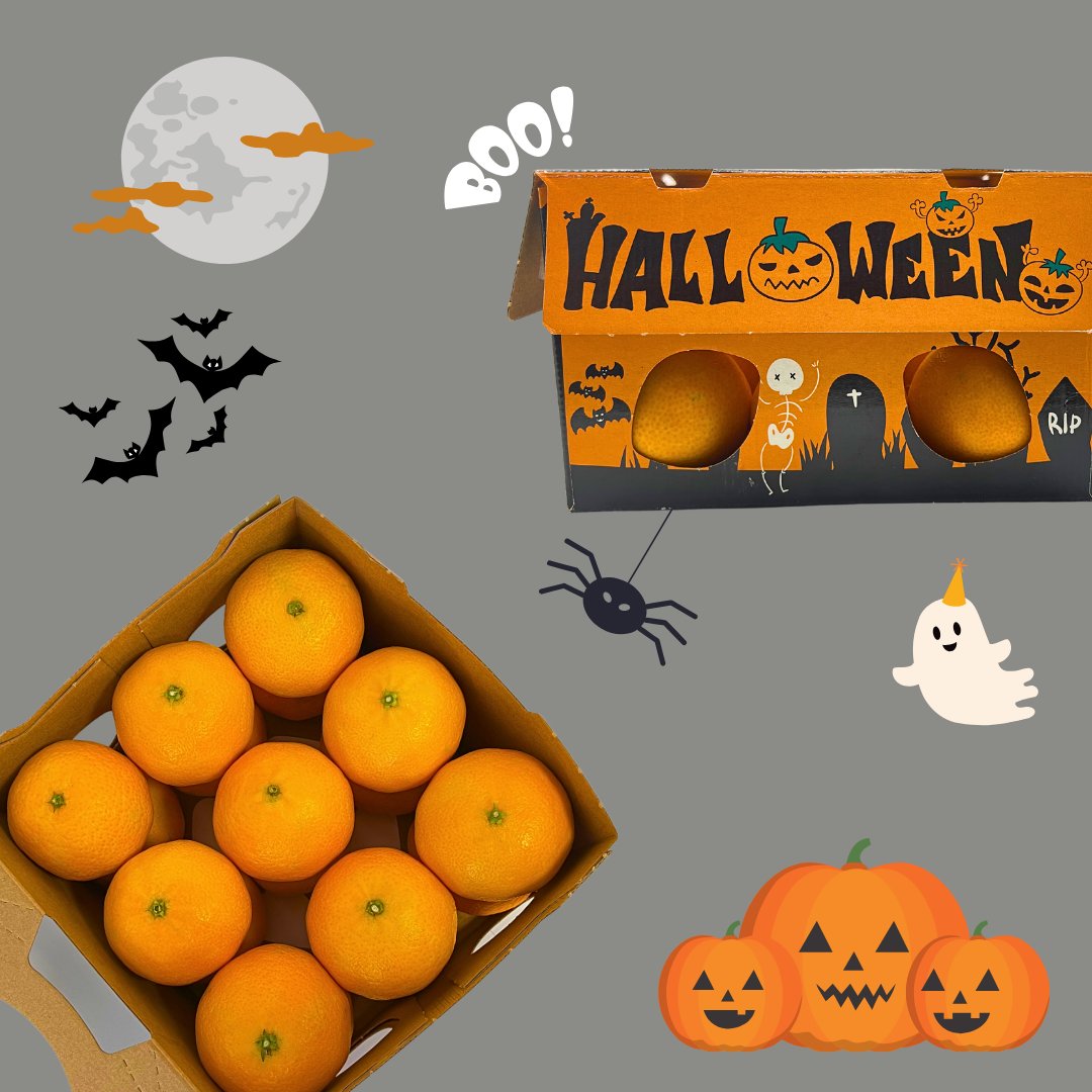 frutinter's tweet photo. En Halloween disfruta de nuestras CLEMENULES 🍊
Esta variedad contiene un nivel alto de azúcar y posee gran contenido de zumo 😋
¡Ya a la venta! 🛒
#frutinter #halloween #variedad #clementinas #clemenules #citricos #vilareal #onda #alcoleadelrio #mercamadrid #mercabarna https://t.co/T4iB2ABpSj