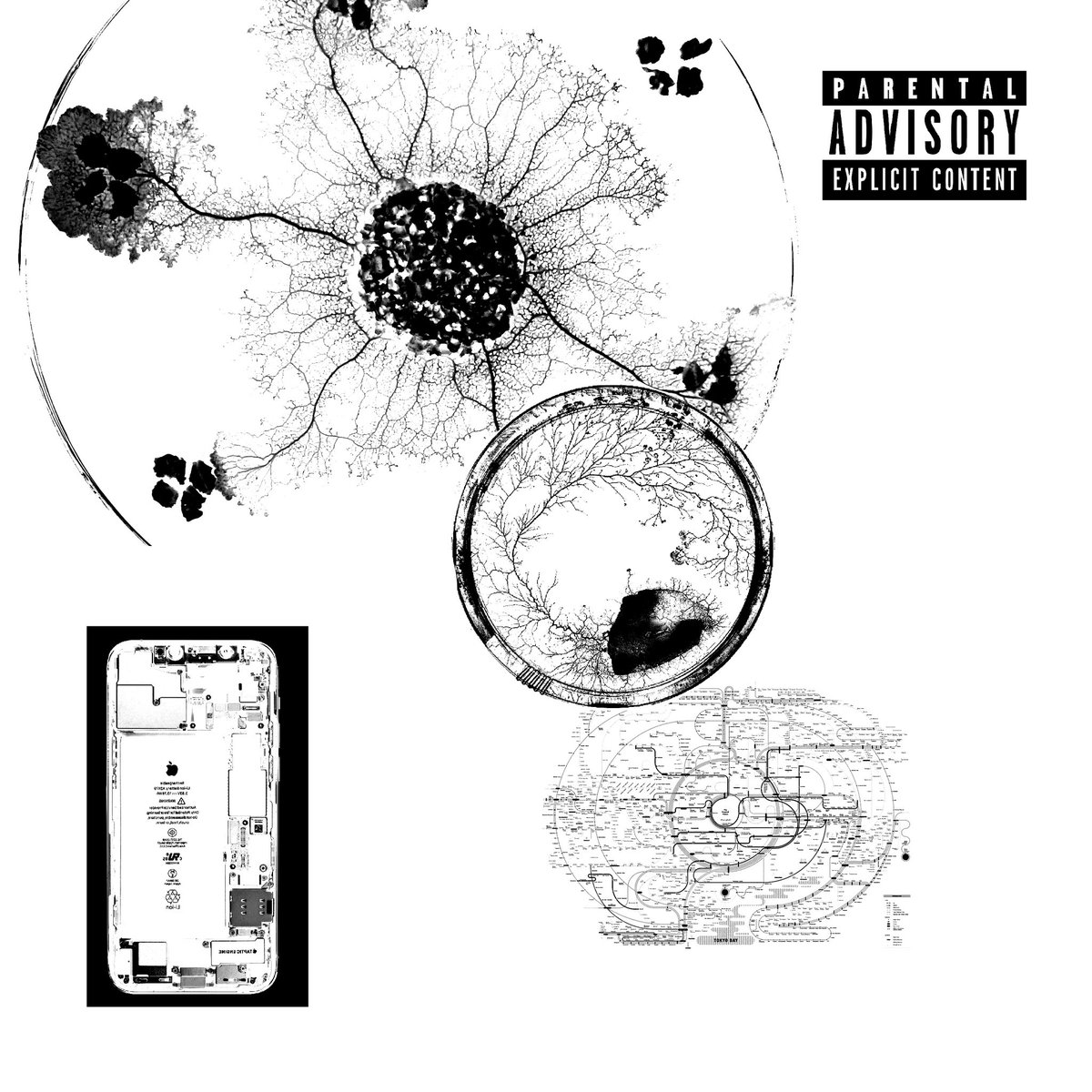 micahgabriel97's tweet photo. SHOULD OF ASKED SLIME 

OUT NOW EVERYWHERE. https://t.co/y8fZG2Su1p