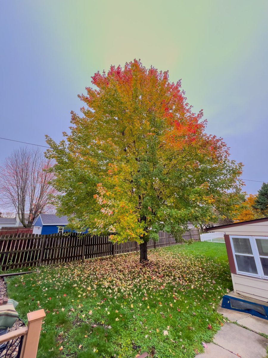SarvMithaq's tweet photo. Fall is not the right word for beautifully colors. It should be called the Hue Season. https://t.co/jCPtiy4GWX