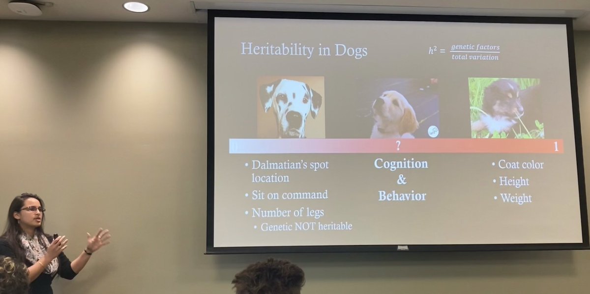 Dr. Gita Gnanadesikan @g_gnanadesikan discusses the role of genetics and environment in heritability of different cognitive and behavioral traits in dogs at #SEEHB2023