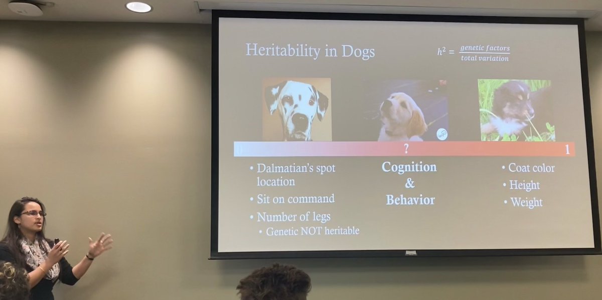 SouthEasternEHB's tweet photo. Dr. Gita Gnanadesikan @g_gnanadesikan discusses the role of genetics and environment in heritability of different cognitive and behavioral traits in dogs at #SEEHB2023 https://t.co/81IoZOiuZb