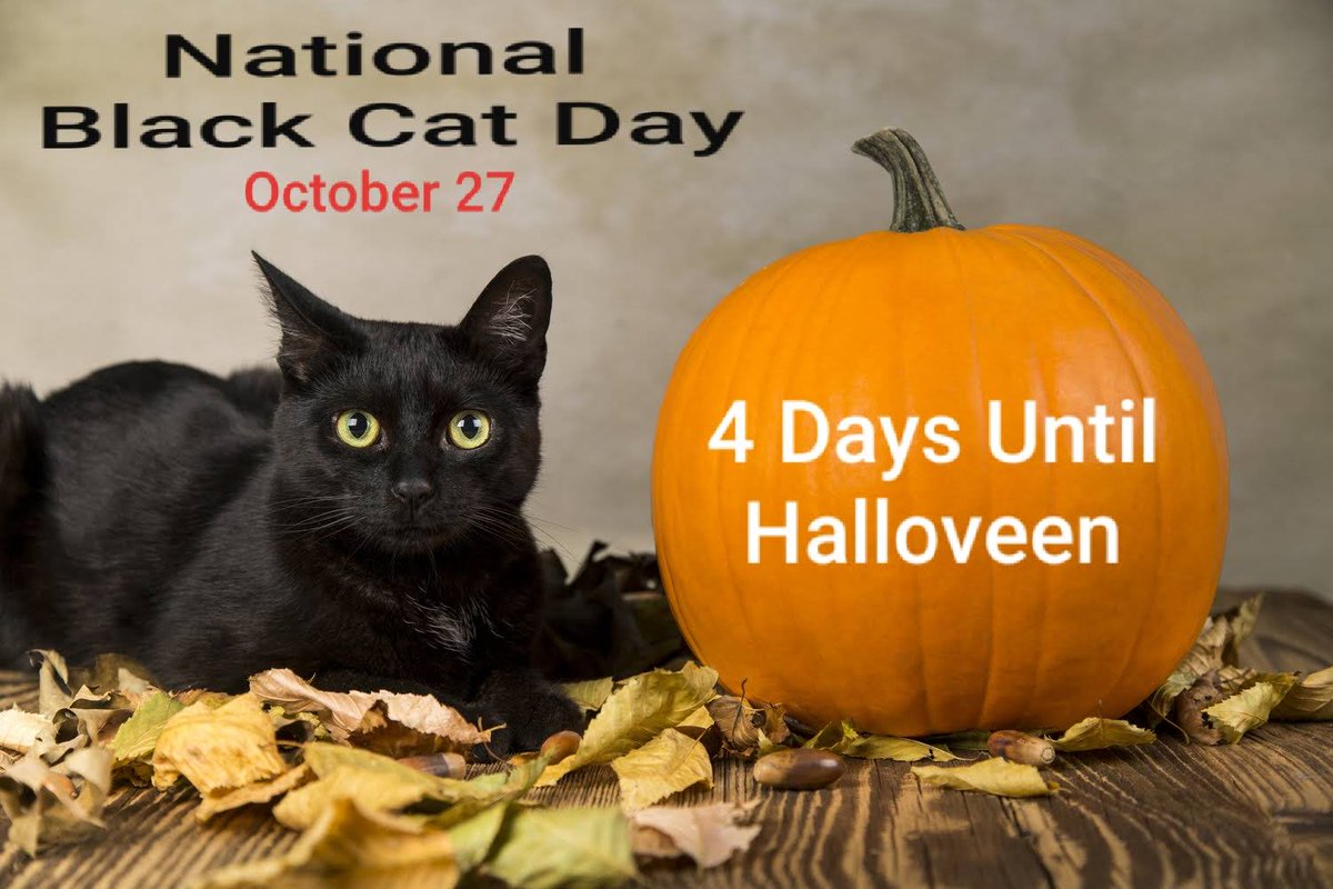 Count_Gregula's tweet photo. Only 4 days until #Halloveen on #NationalBlackCatDay! 🎃🐈⬛️🎃
#Halloween #Halloween2023 https://t.co/AM4C89csSg