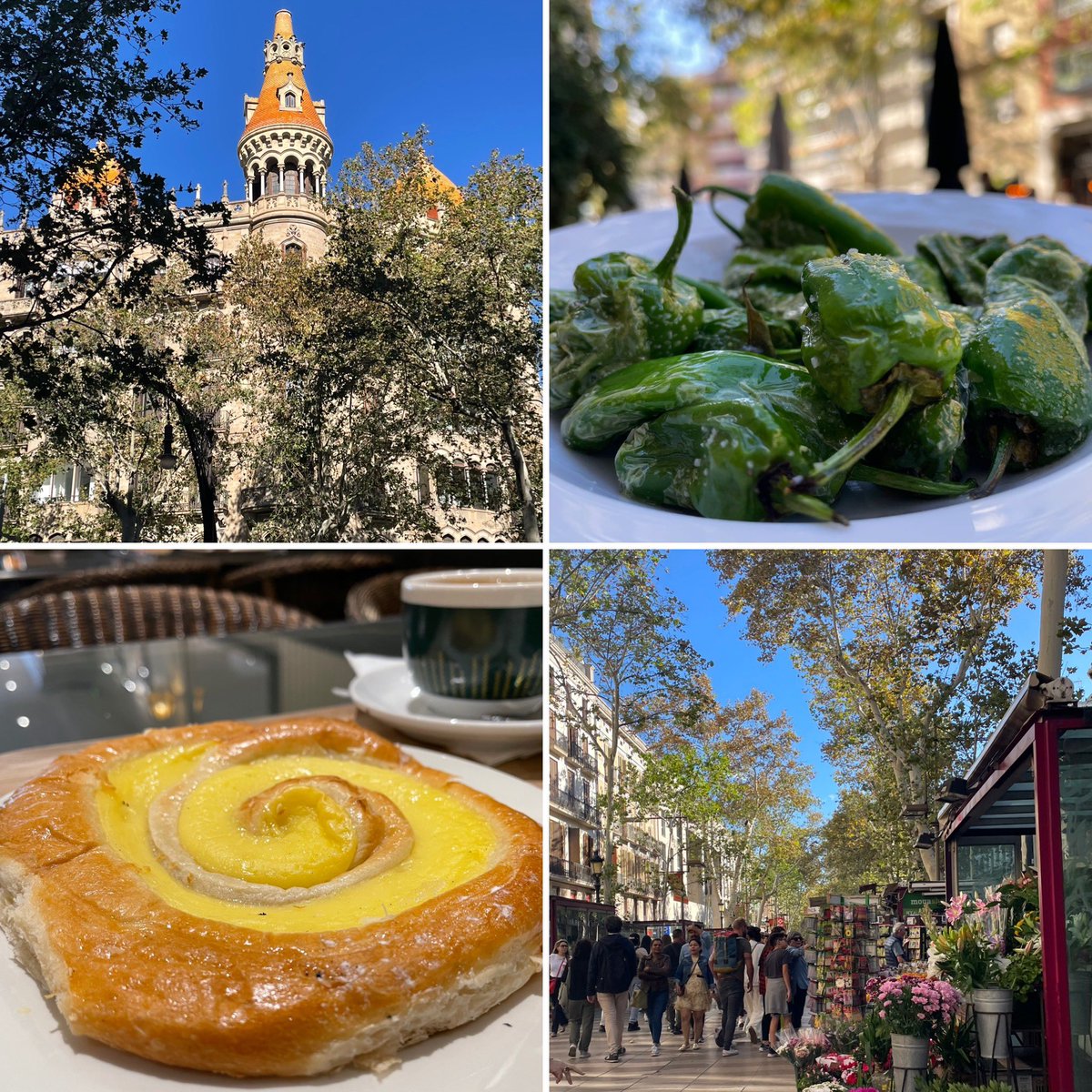 travelblogjamie's tweet image. #Barcelona still has my ❤️ Today, Parc Guell, Sagrada Familia, a few pit stops, met an old student who is studying here, Casa Battló, Plaza Cataluyna and then Las Ramblas. A great way to spend our anniversary. Tonight, Kora La @TUIUK #marella #voyager. I’m already hungry! #cruise