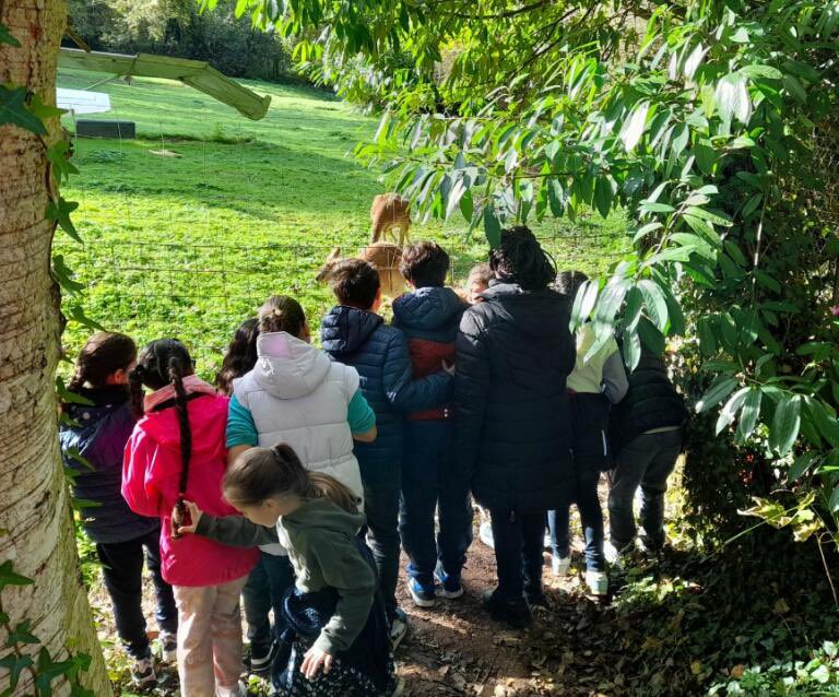 Collège ROBESPIERRE Saint-Etienne-du-Rouvray tweet media