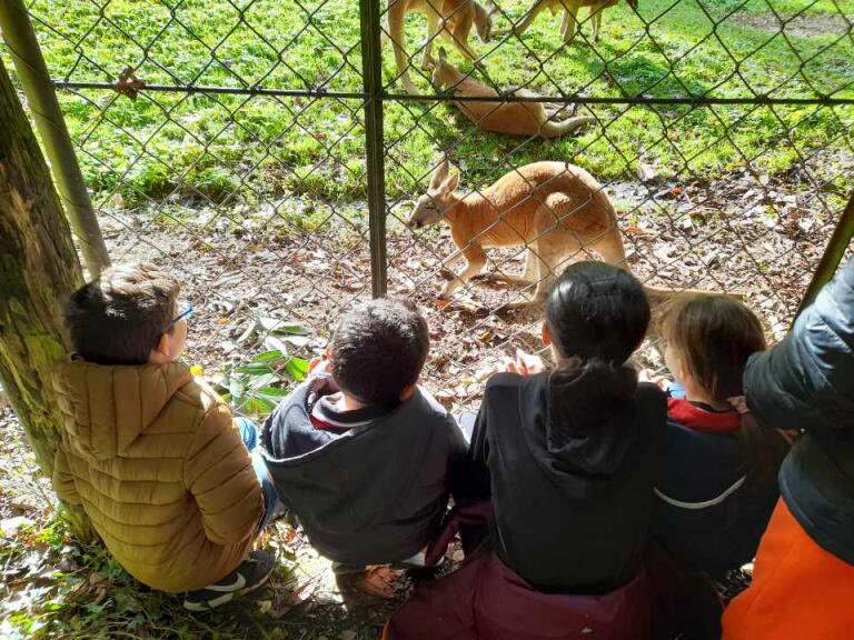 École ouverte : une soixantaine de jeunes de l’élémentaire et du collège ont travaillé les fondamentaux tous les jours.  Ils clôturent cette belle semaine par une journée au zoo de Cerza. Bravo à tous pour leur implication !