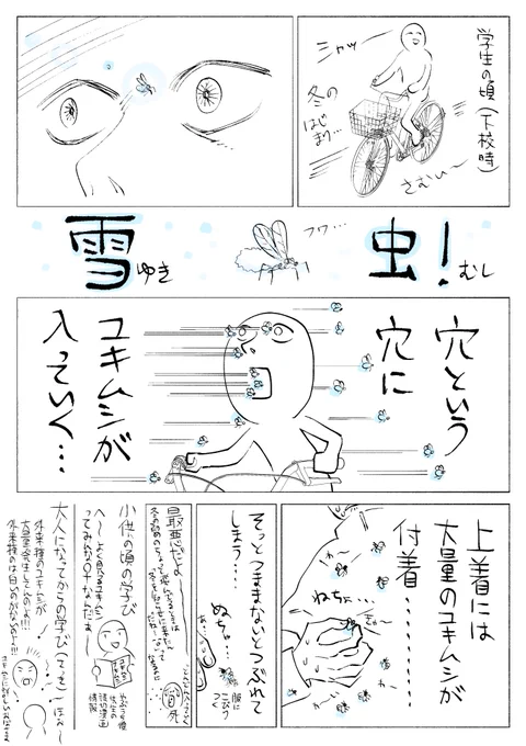 ～🦟❄️北海道の冬の訪れを告げる"雪虫"の思い出❄️🦟～