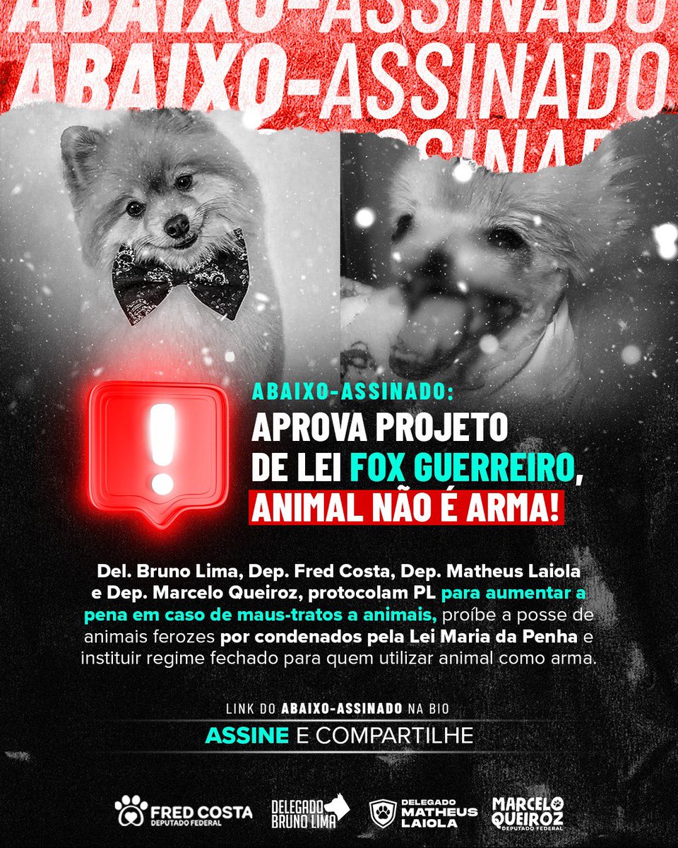 🚨 Fox Guerreiro foi vítima de um atentado cov4rde e não vamos deixar isso em vão! 😡😡

O cãozinho <a href="/fox/">fox</a>.guerreiro sofreu um ataque brut4l por latir demais, mas não iremos nos calar. 

Eu, @fredcostadep, <a href="/delegado/">delegado</a>.matheuslaiola e marceloqueiroz11 elaboramos um projeto de lei para