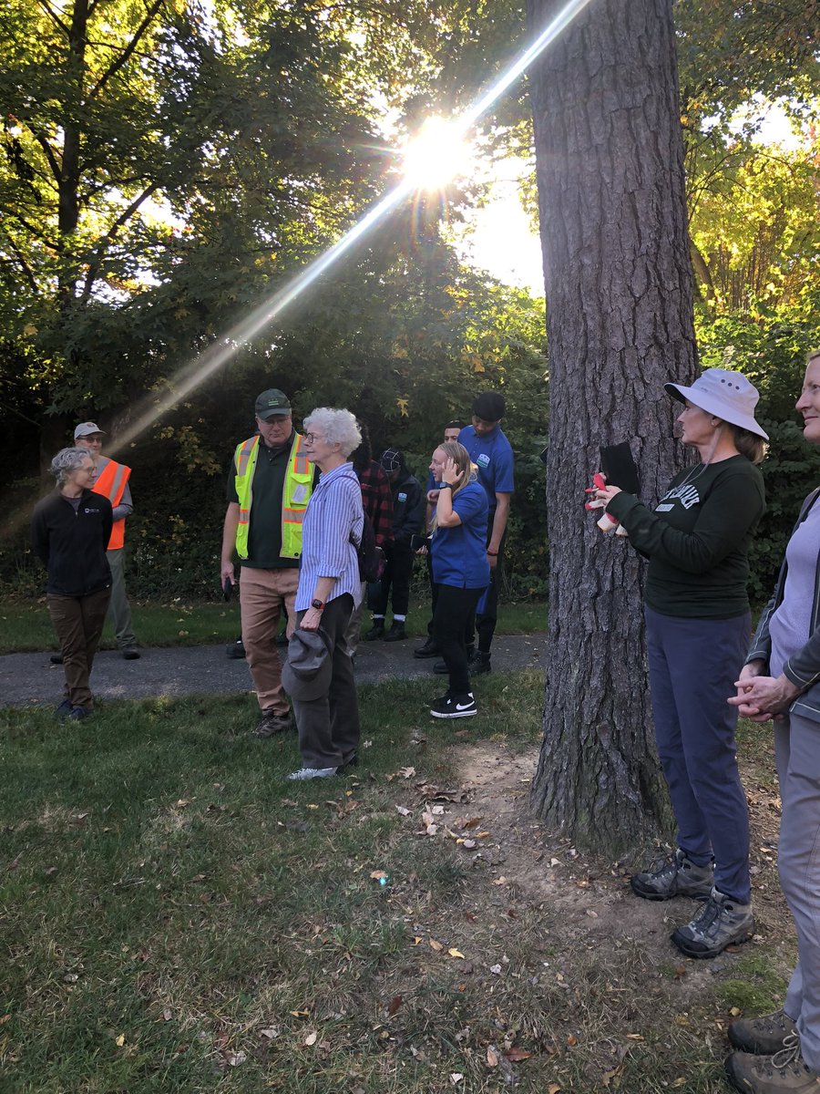 GoreforDC's tweet photo. Many hands make light work! Shoutout to the neighbors and organizers of today’s clean up of bio-retention beds in @anc34g and especially Commissioner #BruceSherman @MichaelZeldin for working on this project. There is a maintenance issue among the many agencies responsible for maintenance but we’re piloting a community component. These beds are green infrastructure and we need to respect them as such. Glad to see a lot of young folks helping out too!