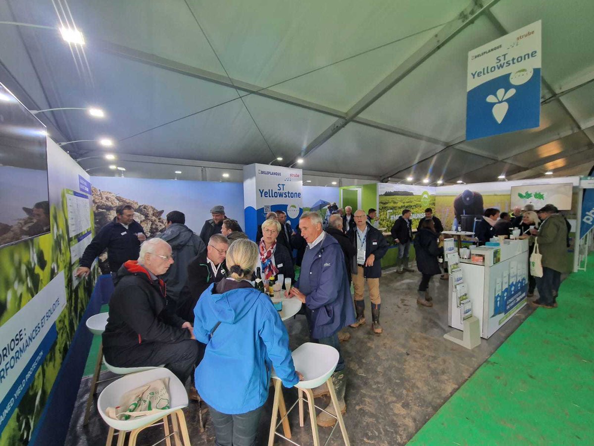 DeleplanqueCie's tweet photo. Retour sur #Betteravenir2023 🌱 @itbetterave 
Malgré une météo capricieuse, ces 2j ont été riches en échanges et en convivialité !
Groupes sucriers, instituts techniques, planteurs, clients et partenaires... Un grand merci à tous pour votre passage sur nos stands ! 🤝 https://t.co/oquPL8lXSb