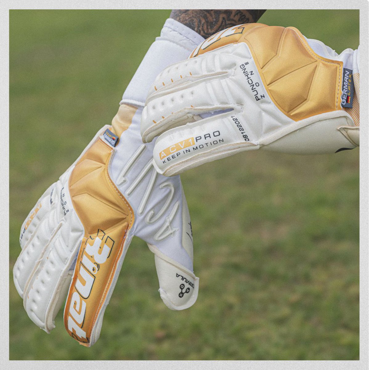 RinatOficial's tweet photo. ¡Misma esencia, diferentes colores! 
El ACV1 PRO en su versión Blanco / Oro ya se encuentra disponible en: https://t.co/fOB8H81yQS 🥅⚽🧤 @AcevedoCarlos9
#TodosSomosUno #ACV1 #Acevedo #Cancerbero #Rinat #FamiliaRinat https://t.co/cghgkecSxx
