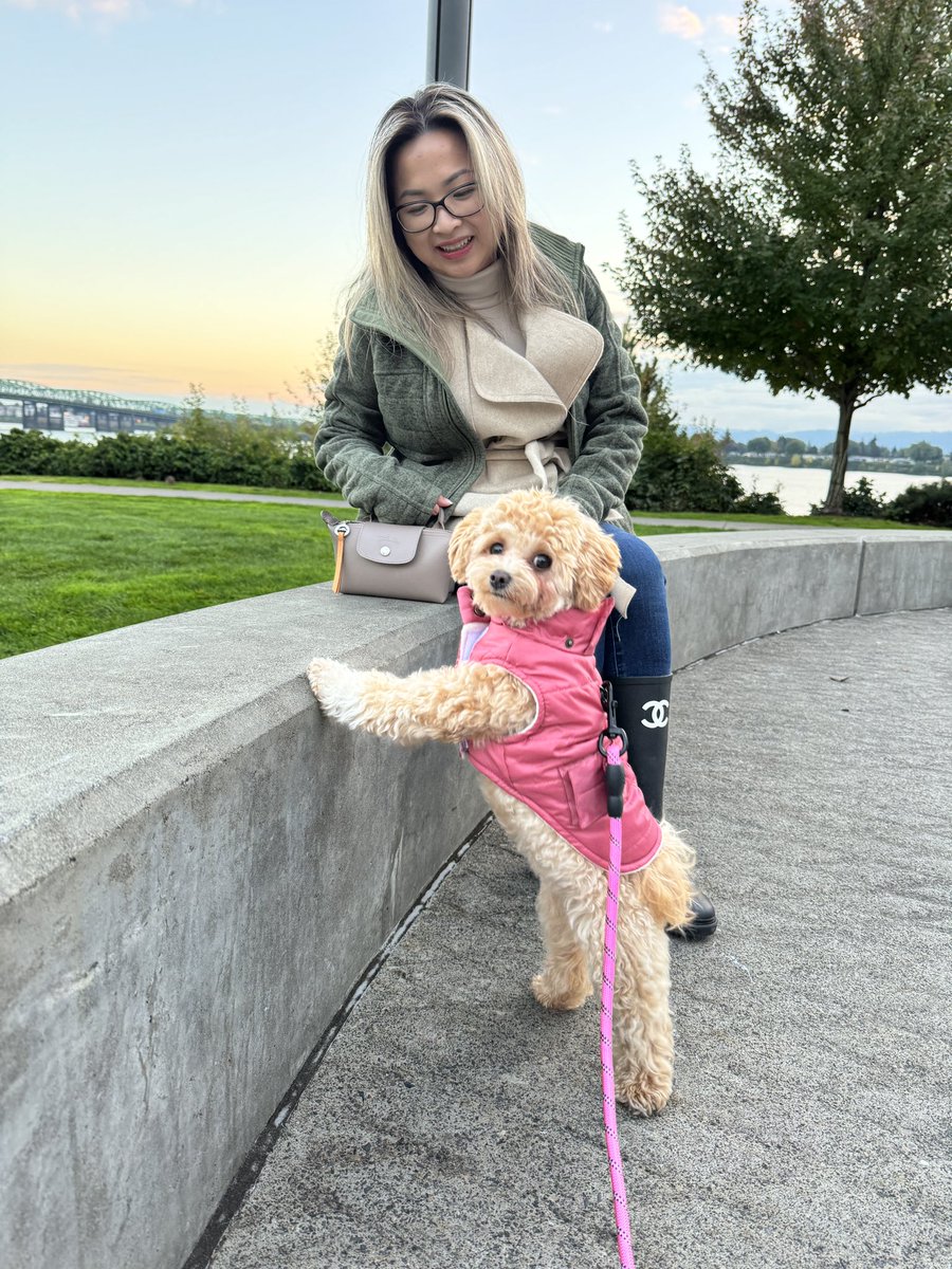 Happy Friday! Mochii, my maltipoo pup, showing off her fit with my wife.