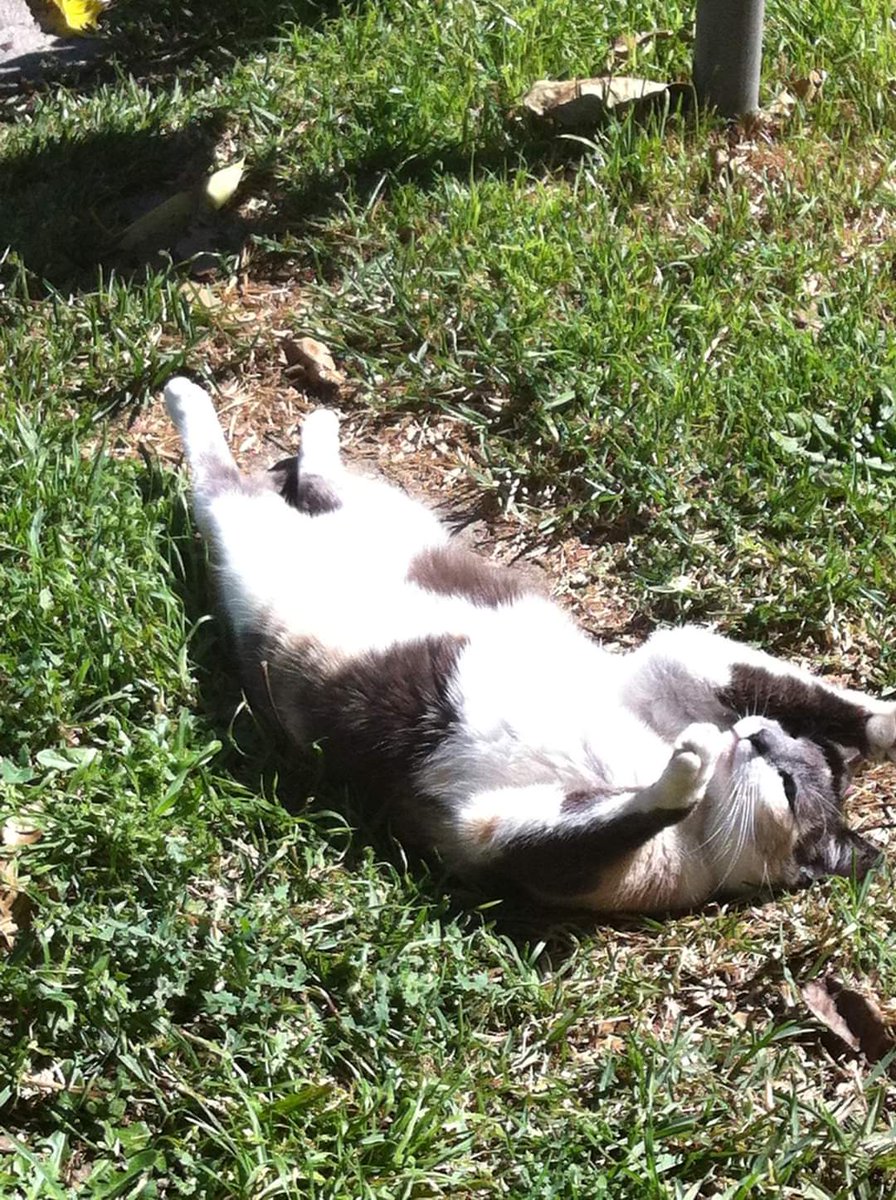 Erica 💜💋💚 tweet media