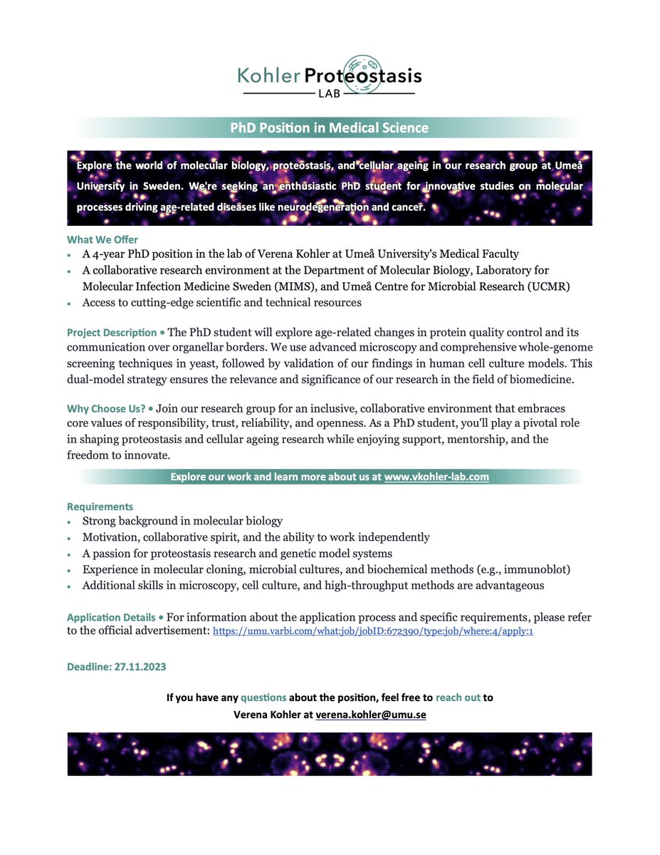 Please RT!

🔬Join the #KohlerProteostasisLab!
We have a fantastic opportunity for a #PhD position in #MedicalScience!

🎯Our goal: Uncovering the #MolecularProcesses behind age-related #Diseases, with a special focus on #Proteostasis during #Ageing

🔍 Interested? Read more =&gt;