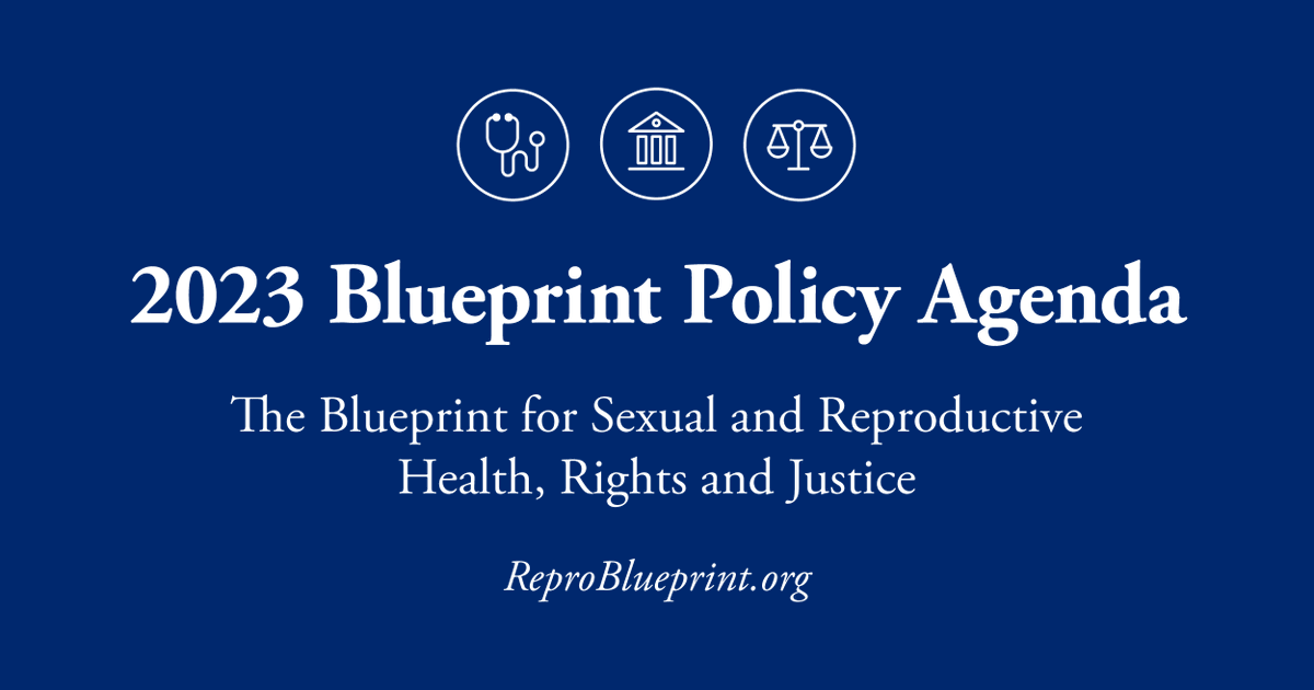 IpasOrg's tweet photo. NEW #ReproBlueprint: 2023 Blueprint Policy Agenda highlights Executive Actions to protect/expand SRHRJ. Learn more: https://t.co/d17zYt0no3 https://t.co/0n8NVvlhAW