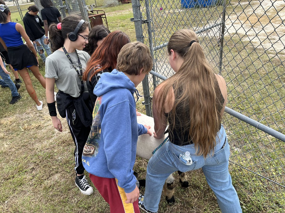 Farrah Johnson tweet media