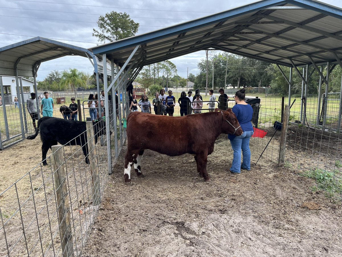 Farrah Johnson tweet media