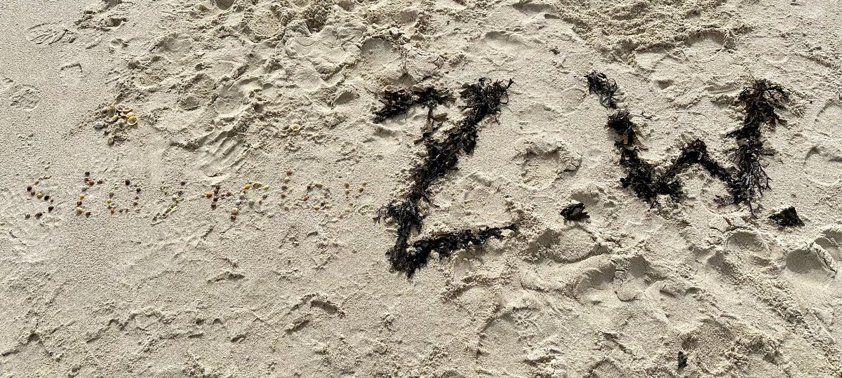 exitthelemming's tweet image. One for the #MichaelMorpurgo fans (and to wish him happy 80th birthday  this month). Rushy Bay, Bryher, Isles of Scilly.

Took ages for D1 to find enough orange shells. Suspect they were more common in 1914, when Why The Whales Came is set