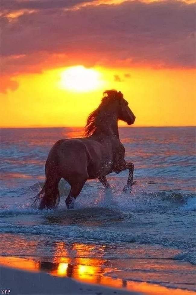 Dorlion26_ (@dorlion26_) on Twitter photo 