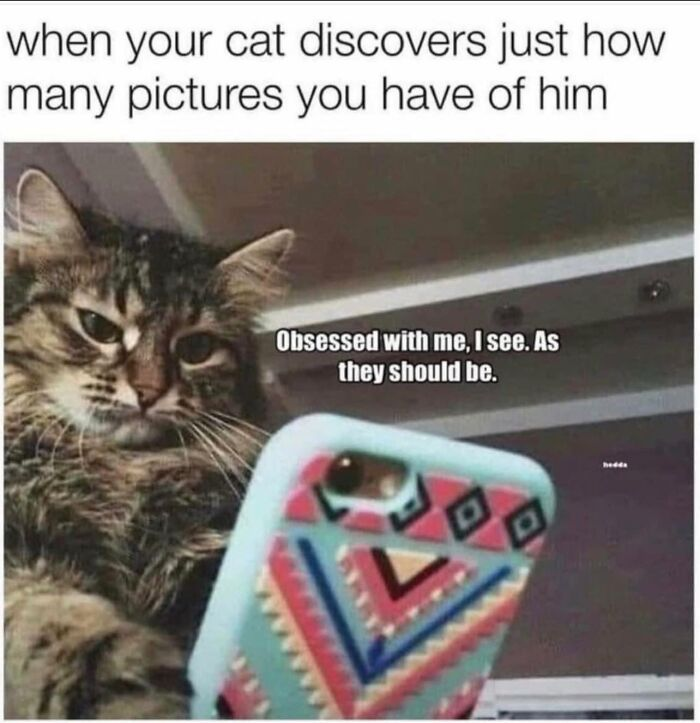 WholesomeMemes (@wholesomememe) on Twitter photo 
