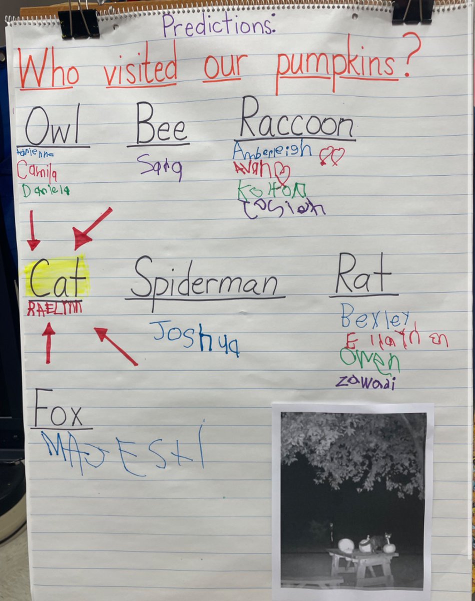 MaryHoke_'s tweet image. Kindergarten students were curious what critters like to eat pumpkins besides people. So we carved a few up, set up a game camera, and they are going to find out! We had our first visitor last night 🎃 🐈‍⬛ hopefully Spider-Man comes tonight #hopewellmagic