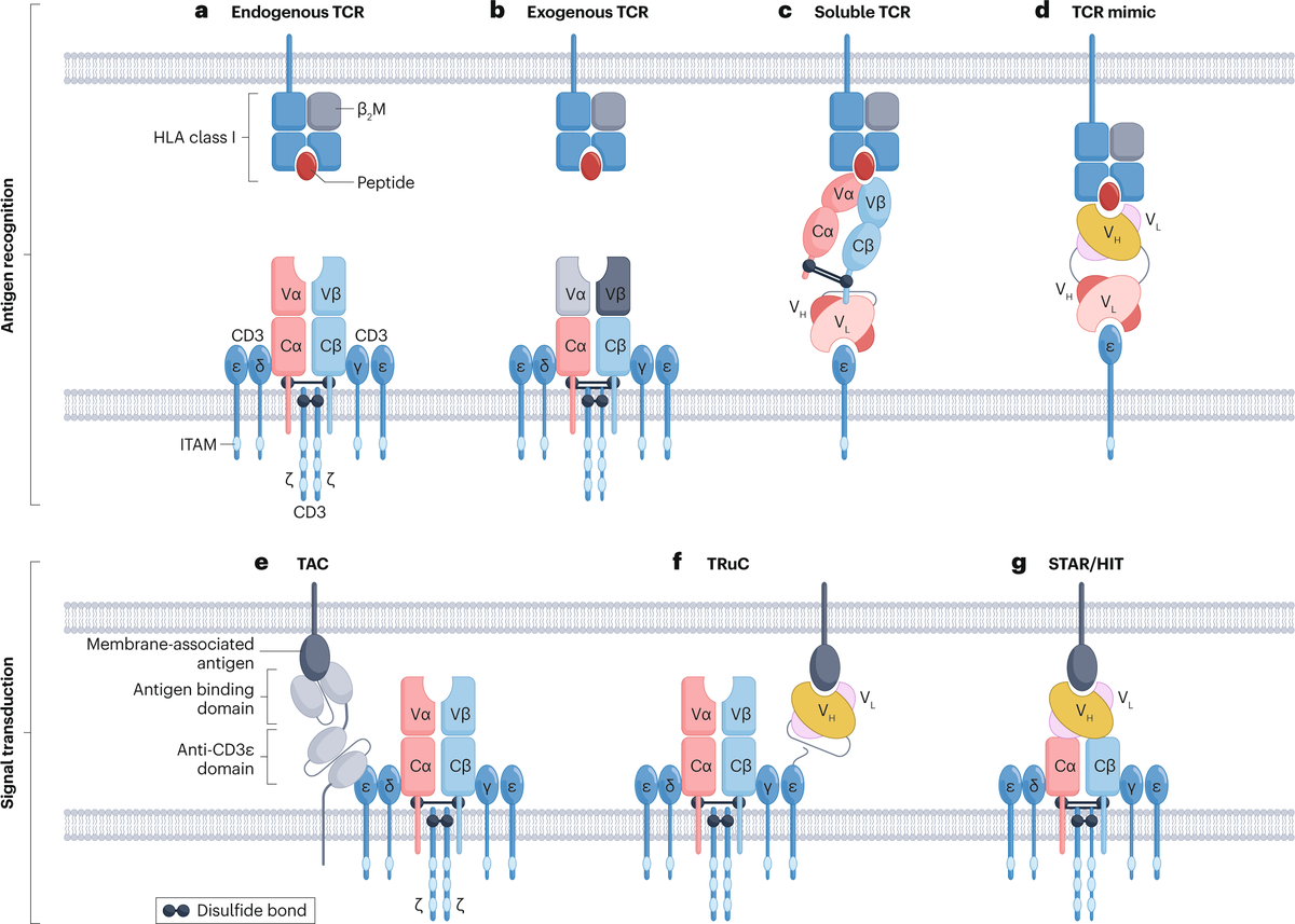 Nature Reviews Drug Discovery tweet media