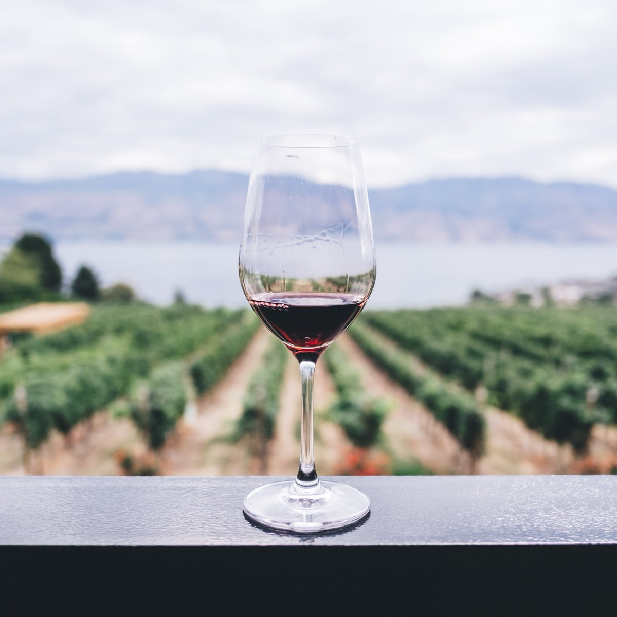 Watermark Resort (@watermarkresort) on Twitter photo With our Sip & Stay package, each adult guest will receive an exclusive tasting passport featuring tastings at larger signature wineries along with smaller artisanal options, including a craft brewery..
Email reservations@watermarkbeachresort.com or call us at 250-495-5518. With our Sip & Stay package, each adult guest will receive an exclusive tasting passport featuring tastings at larger signature wineries along with smaller artisanal options, including a craft brewery..
Email reservations@watermarkbeachresort.com or call us at 250-495-5518.