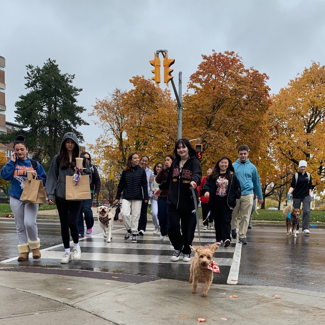 Laurier's tweet photo. Dogs, meet students πΆππ #ThriveWeek #LaurierLove https://t.co/F4Eb5lmAG3