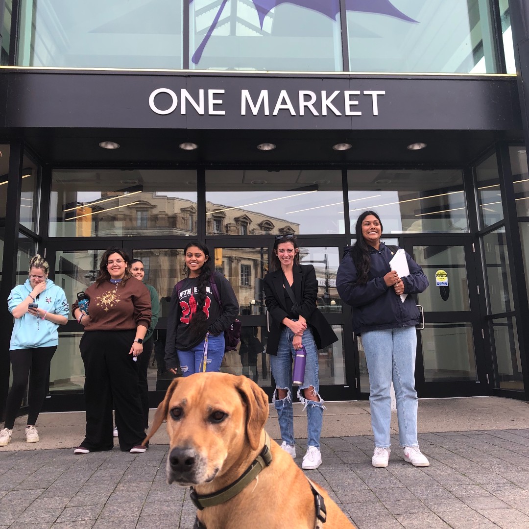 Laurier's tweet photo. Dogs, meet students πΆππ #ThriveWeek #LaurierLove https://t.co/F4Eb5lmAG3