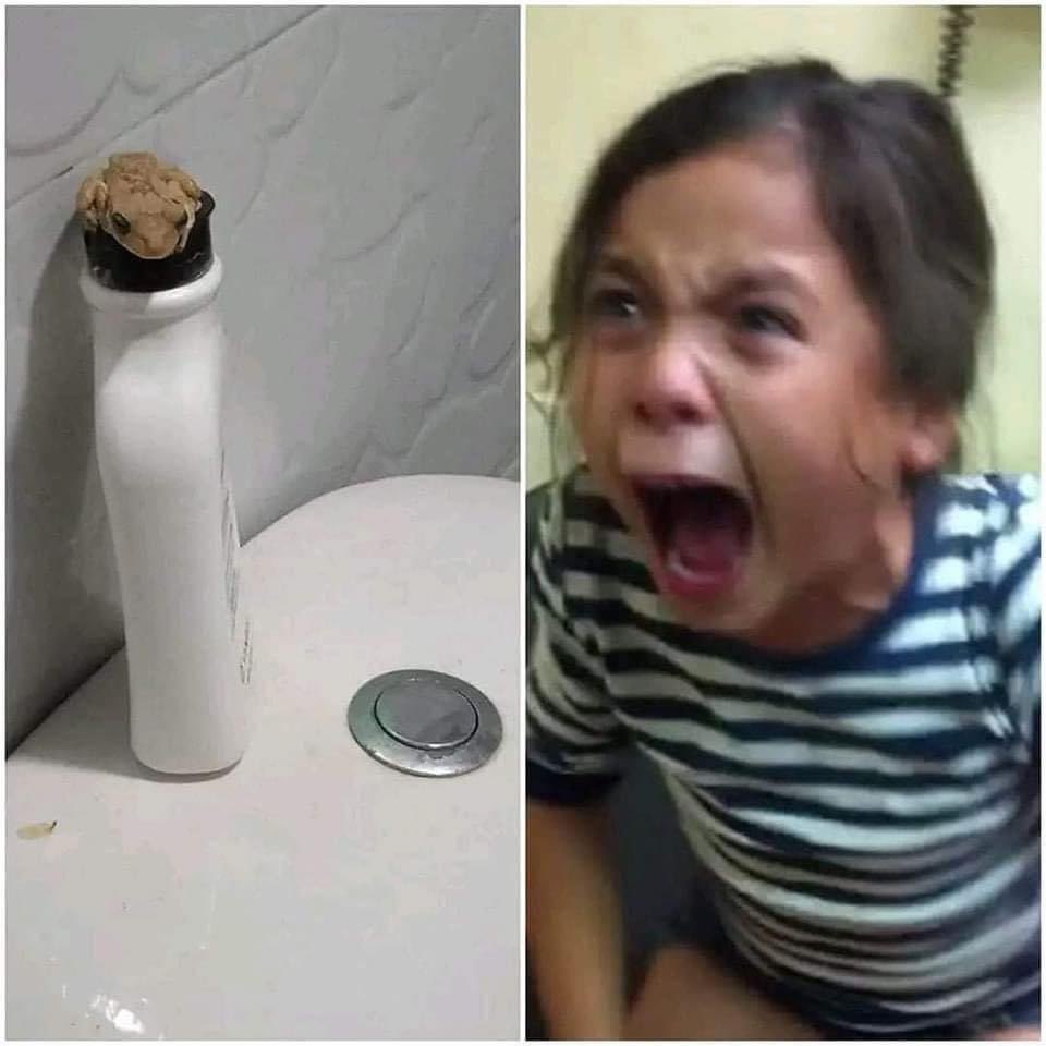 O sapo sem fazer nada // eu