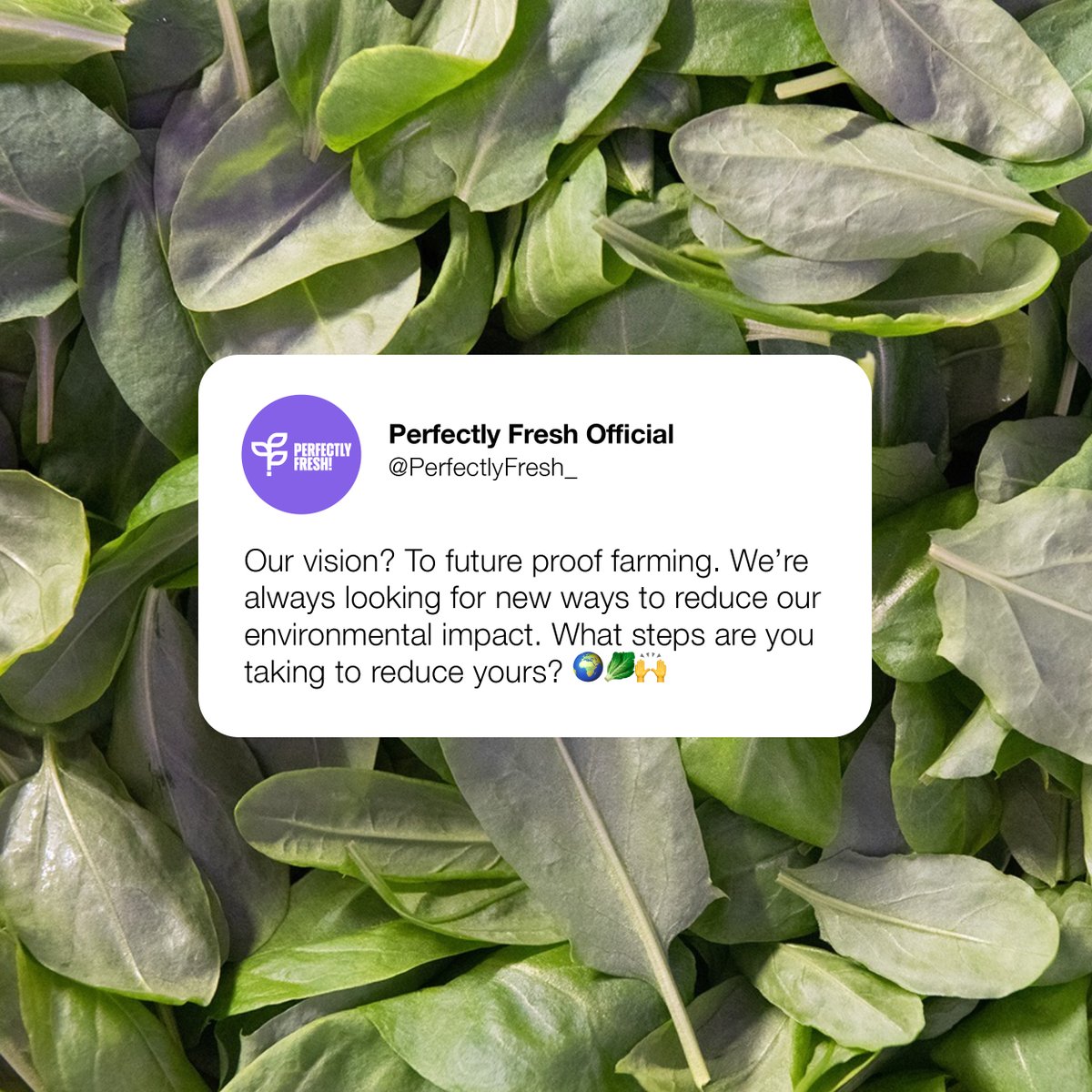 Perfectly Fresh Official tweet media