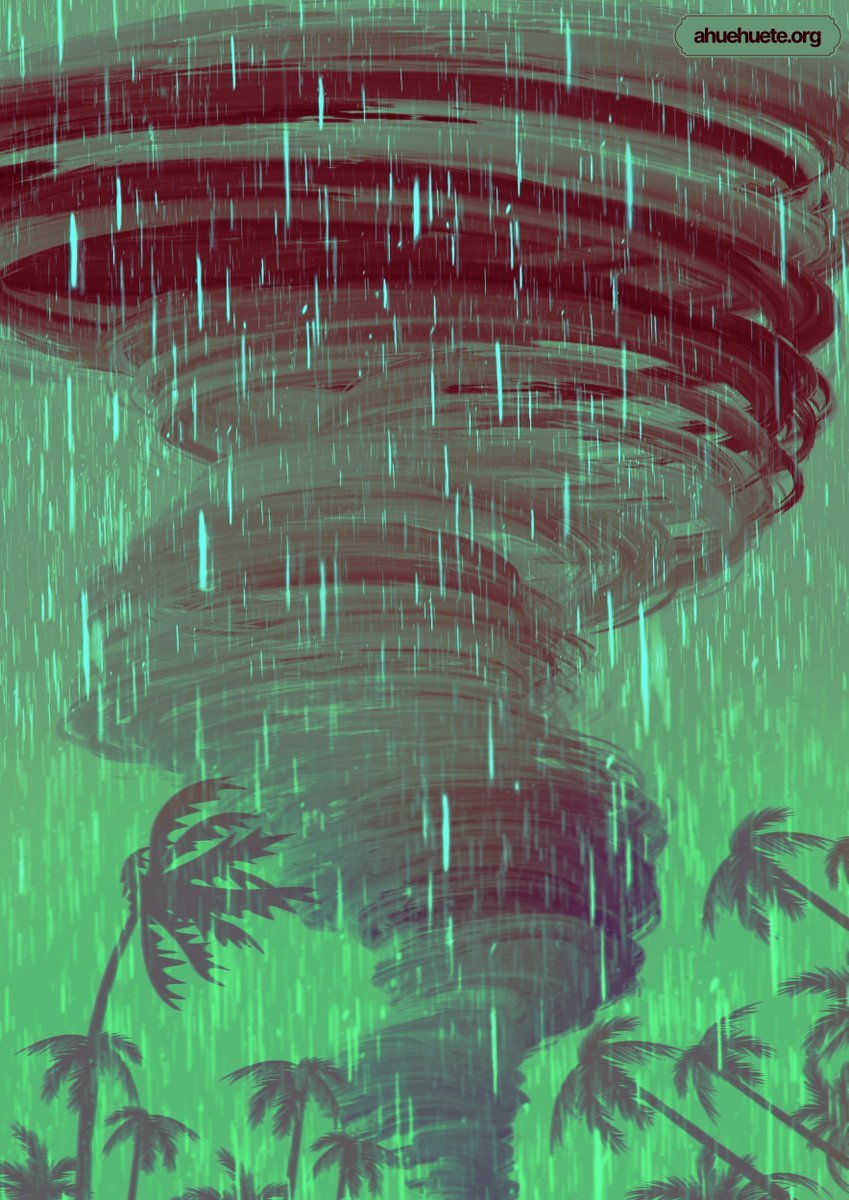 taller ahuehuete tweet media