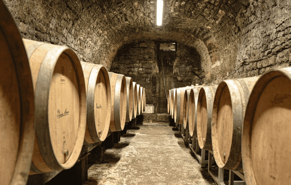 Bobosse92's tweet photo. Dégustation au domaine Olivier Morin à Chitry (89) : https://t.co/J2ixukK1db
#auxerrois #chitry #dégustation #vigneron https://t.co/5gInHdKEB6