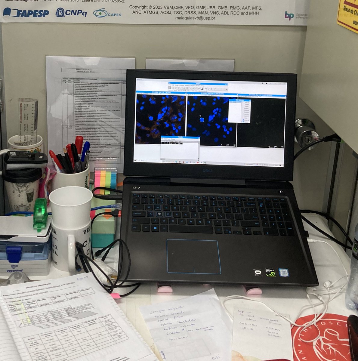 vanessabmalaqui's tweet photo. Working on #FluorescenceFriday https://t.co/PUiJzQ6z4p